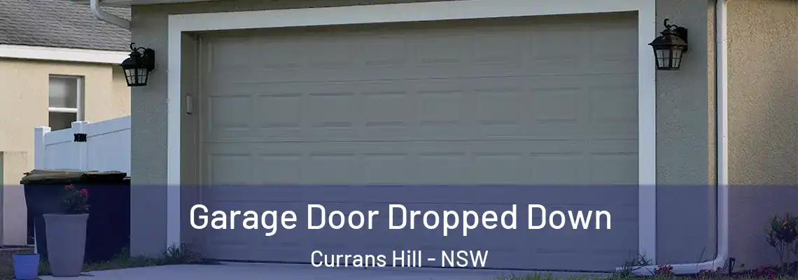Garage Door Dropped Down Currans Hill - NSW