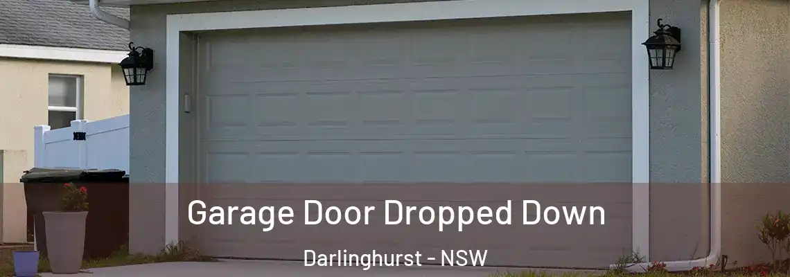 Garage Door Dropped Down Darlinghurst - NSW