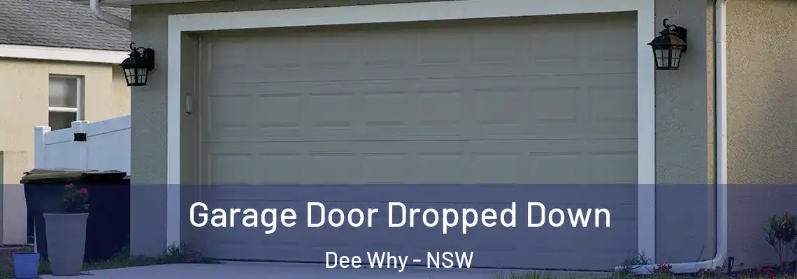 Garage Door Dropped Down Dee Why - NSW