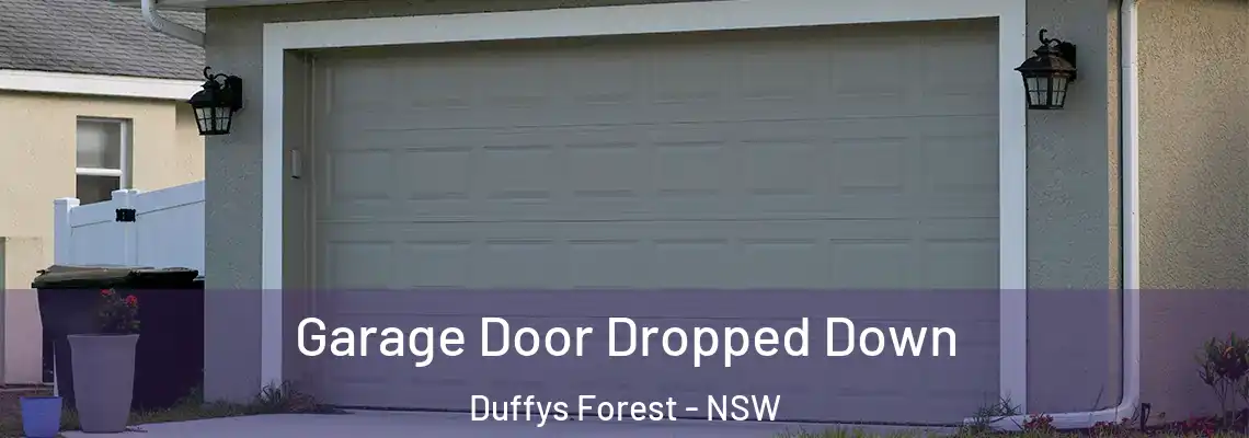 Garage Door Dropped Down Duffys Forest - NSW