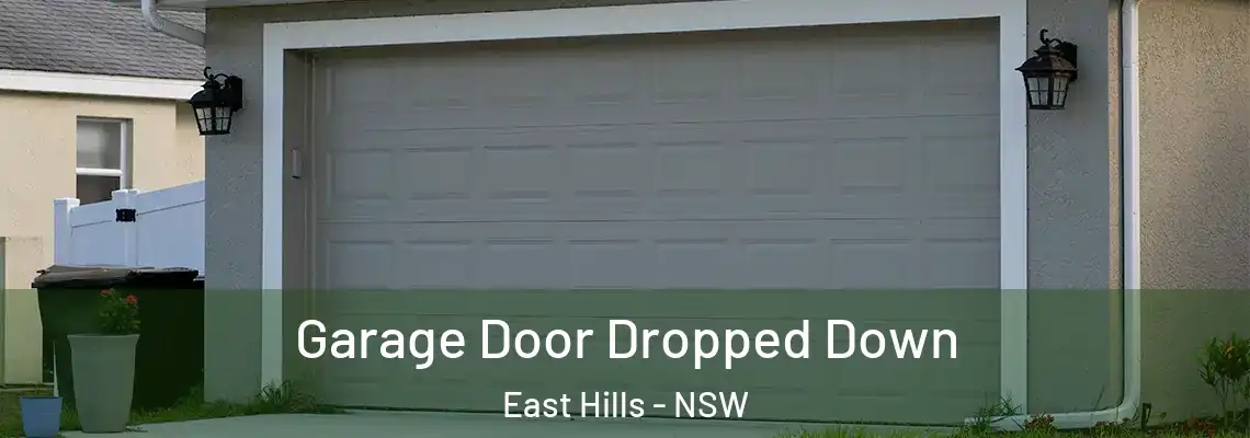 Garage Door Dropped Down East Hills - NSW