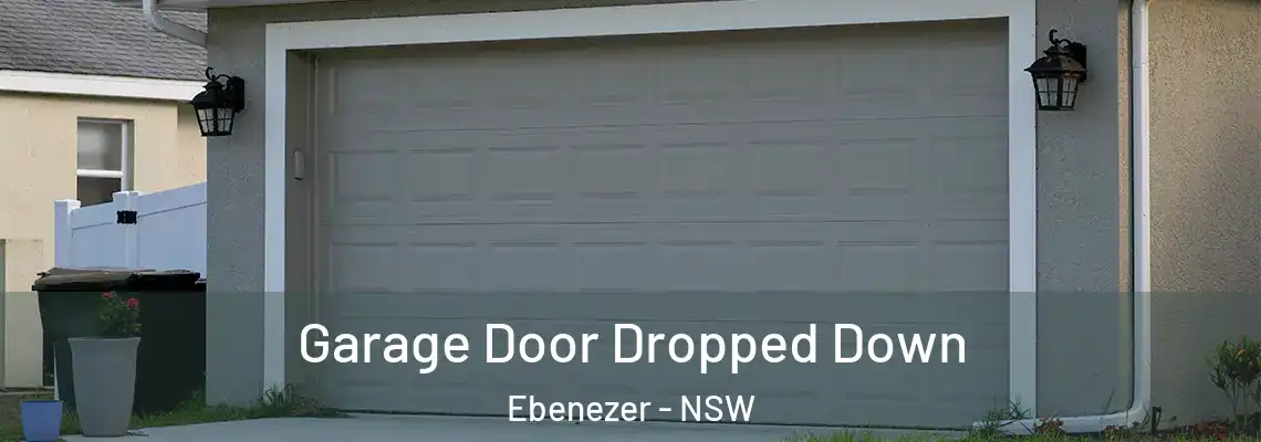 Garage Door Dropped Down Ebenezer - NSW