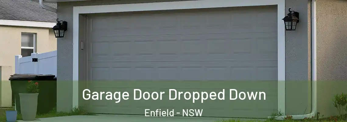 Garage Door Dropped Down Enfield - NSW