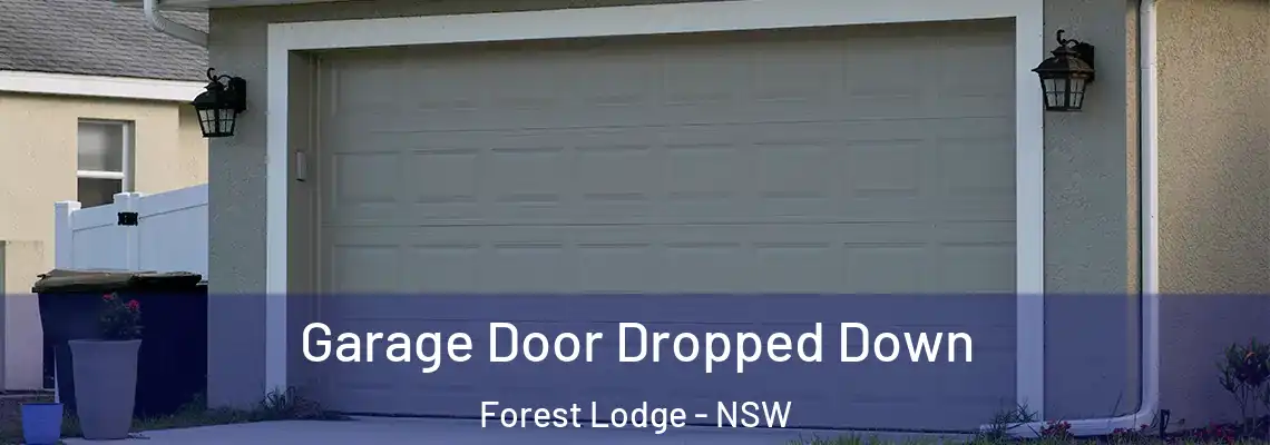 Garage Door Dropped Down Forest Lodge - NSW