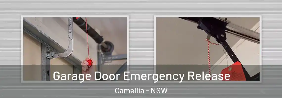 Garage Door Emergency Release Camellia - NSW