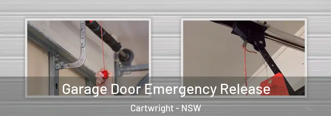 Garage Door Emergency Release Cartwright - NSW