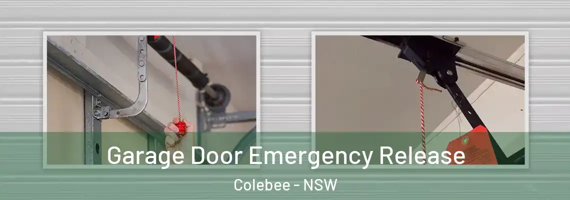 Garage Door Emergency Release Colebee - NSW