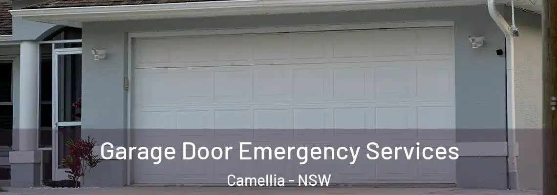 Garage Door Emergency Services Camellia - NSW