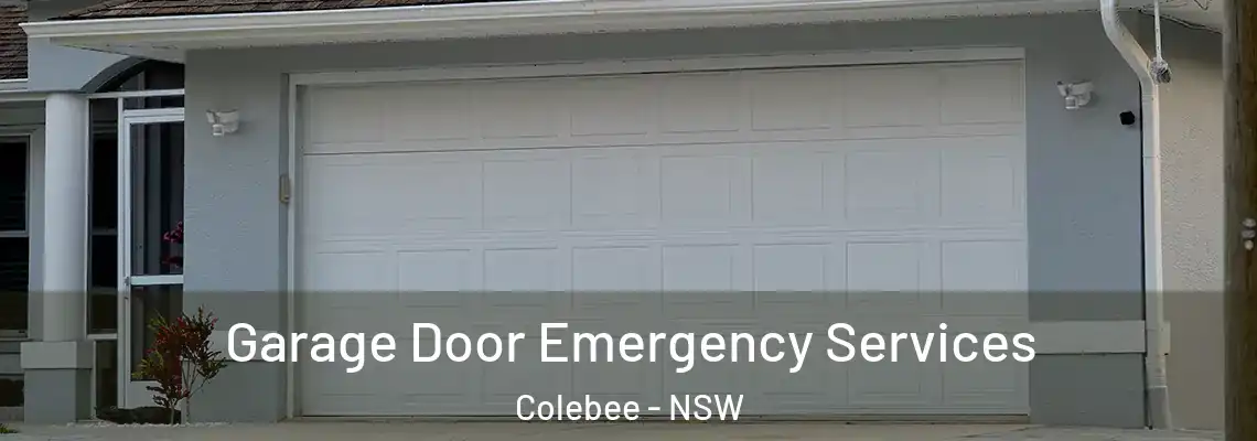 Garage Door Emergency Services Colebee - NSW