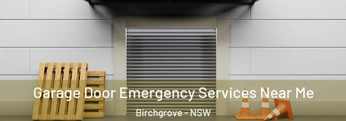 Garage Door Emergency Services Near Me Birchgrove - NSW