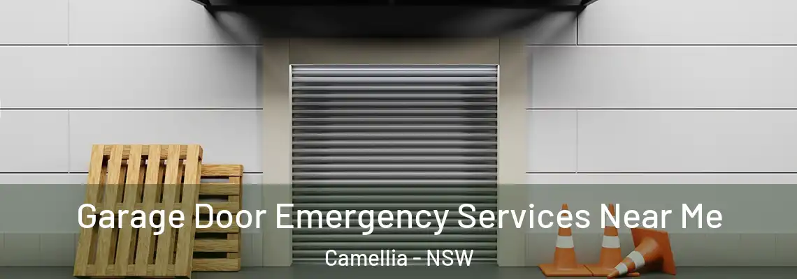 Garage Door Emergency Services Near Me Camellia - NSW