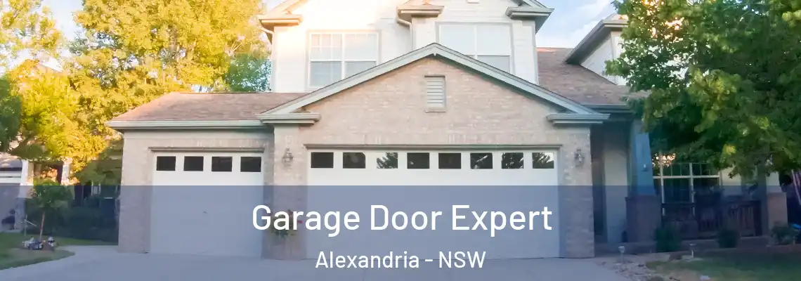 Garage Door Expert Alexandria - NSW
