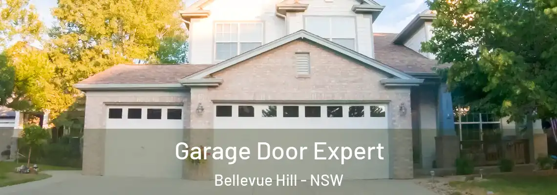 Garage Door Expert Bellevue Hill - NSW