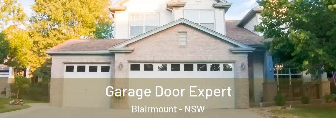 Garage Door Expert Blairmount - NSW
