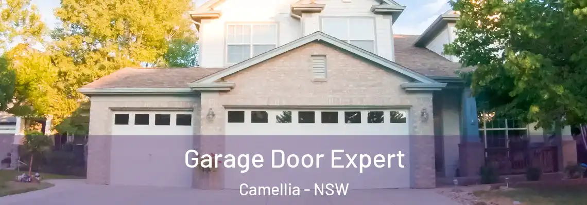 Garage Door Expert Camellia - NSW