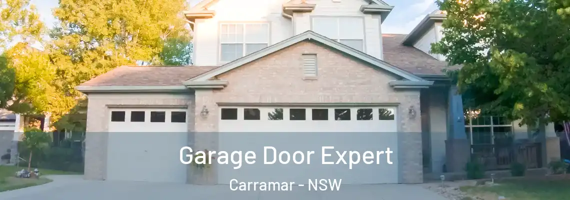 Garage Door Expert Carramar - NSW