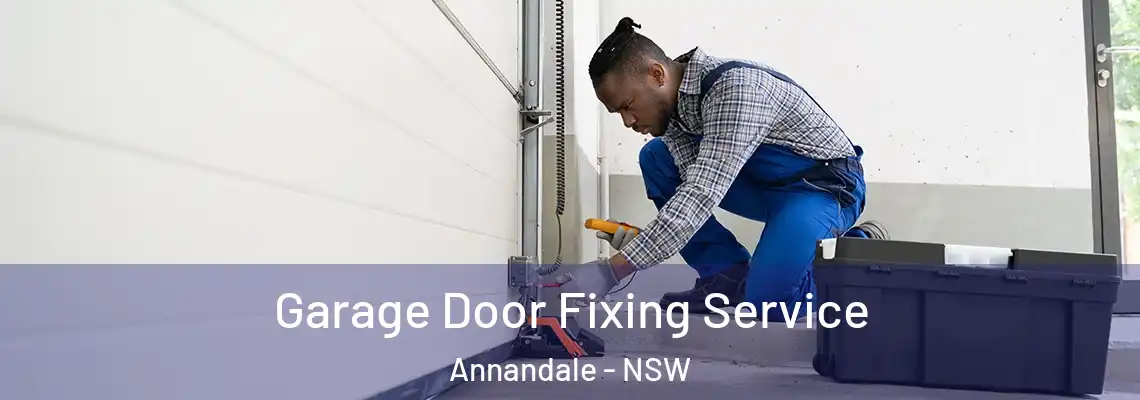 Garage Door Fixing Service Annandale - NSW