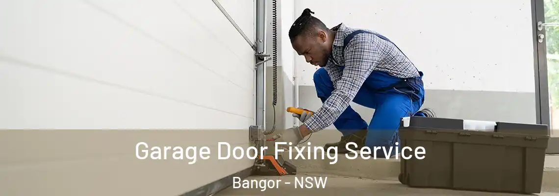 Garage Door Fixing Service Bangor - NSW