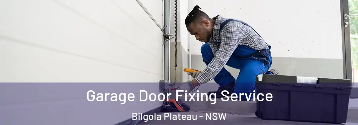 Garage Door Fixing Service Bilgola Plateau - NSW