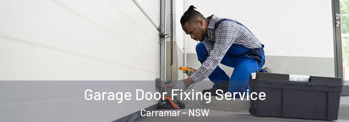 Garage Door Fixing Service Carramar - NSW