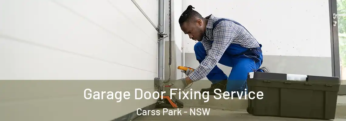 Garage Door Fixing Service Carss Park - NSW