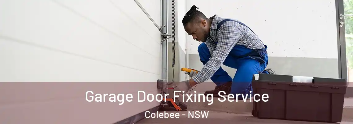 Garage Door Fixing Service Colebee - NSW