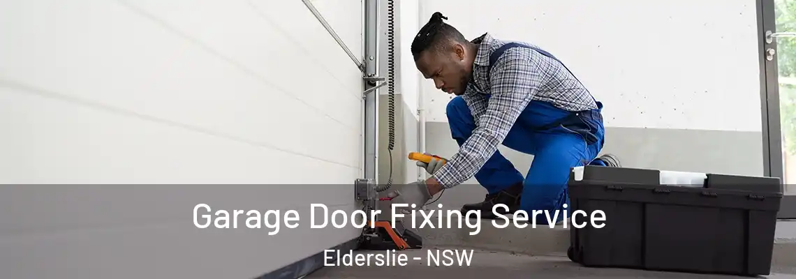 Garage Door Fixing Service Elderslie - NSW