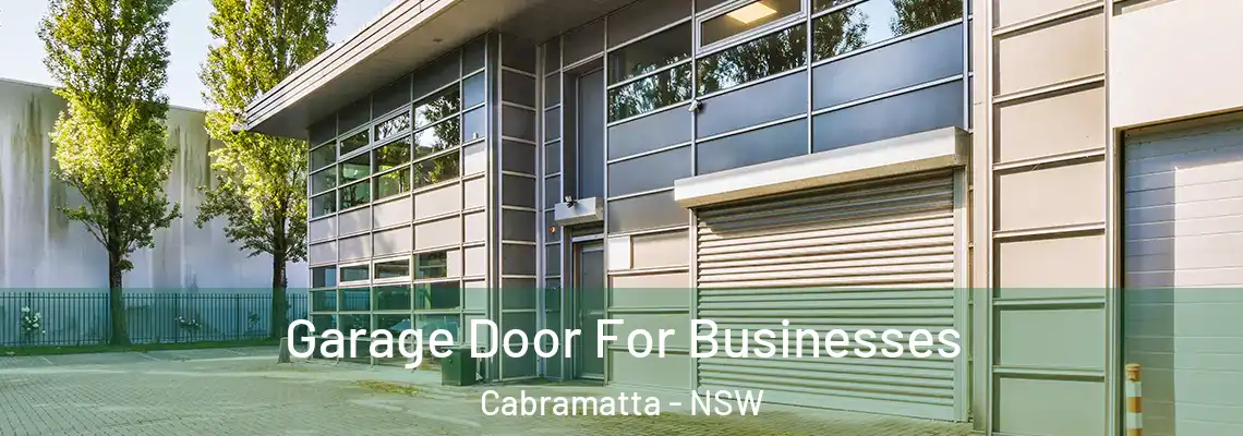 Garage Door For Businesses Cabramatta - NSW