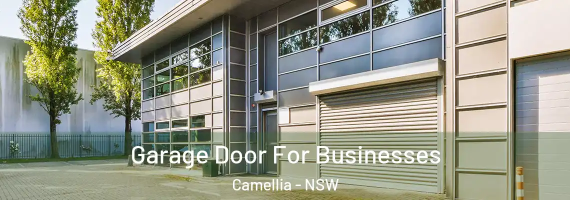 Garage Door For Businesses Camellia - NSW