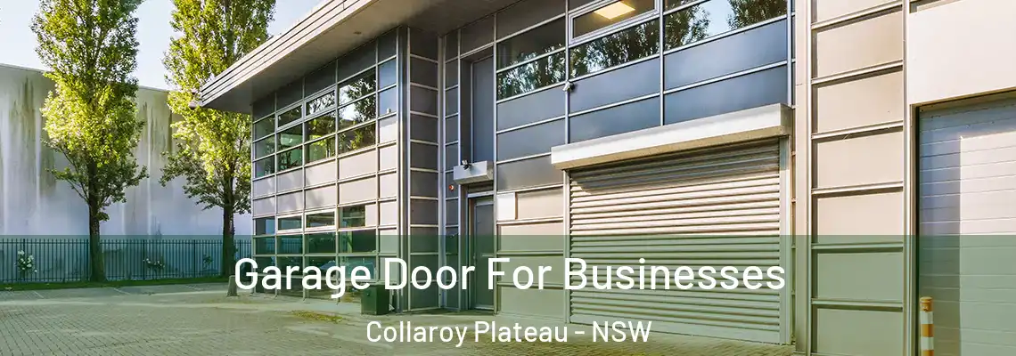  Garage Door For Businesses Collaroy Plateau - NSW