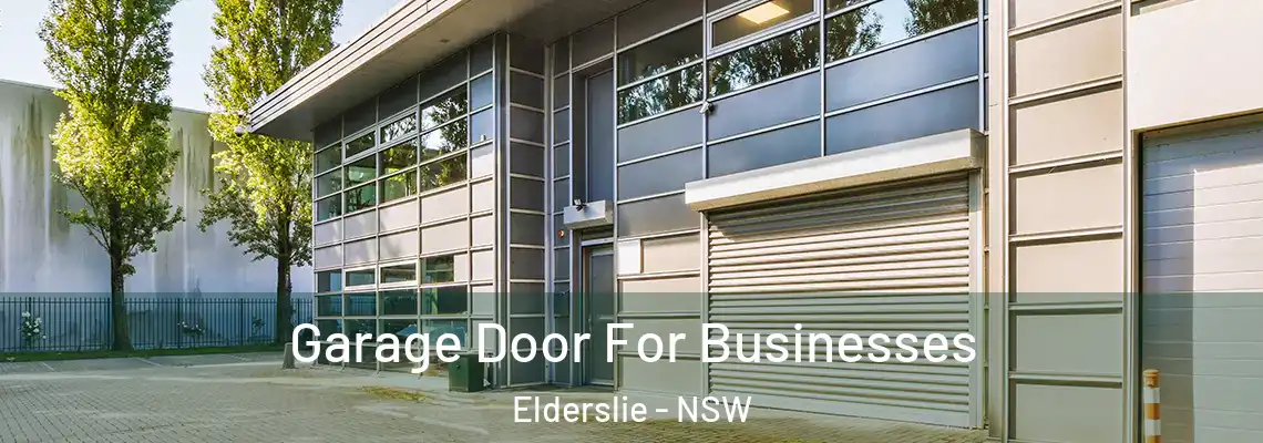 Garage Door For Businesses Elderslie - NSW