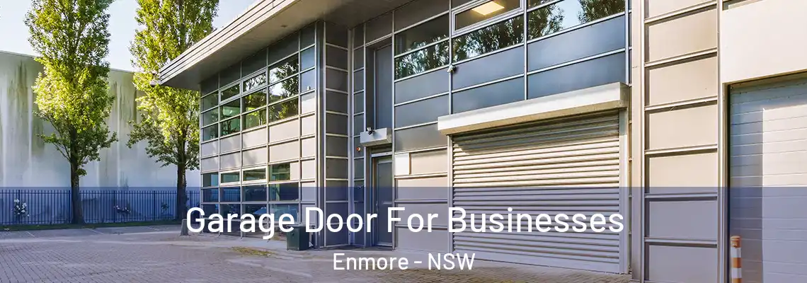 Garage Door For Businesses Enmore - NSW
