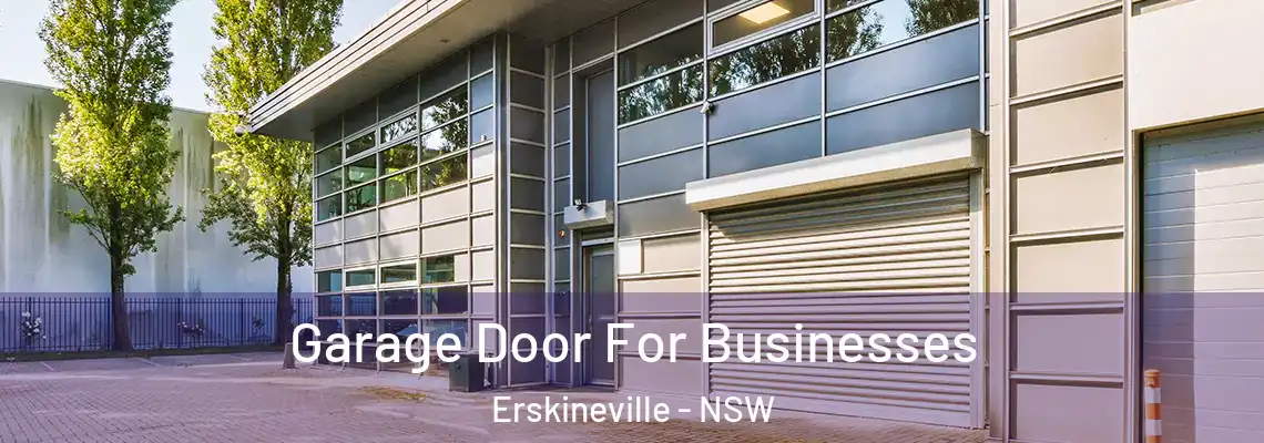 Garage Door For Businesses Erskineville - NSW