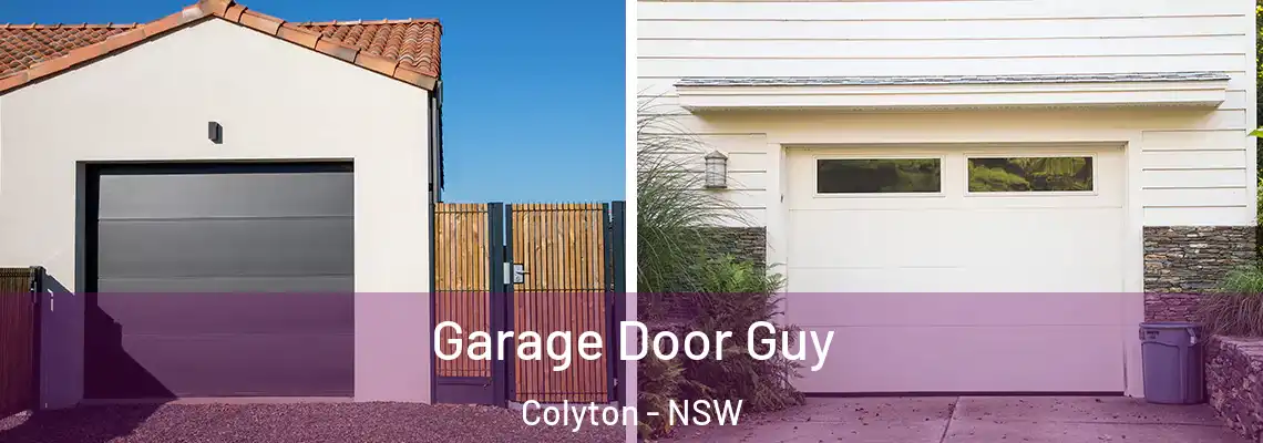 Garage Door Guy Colyton - NSW