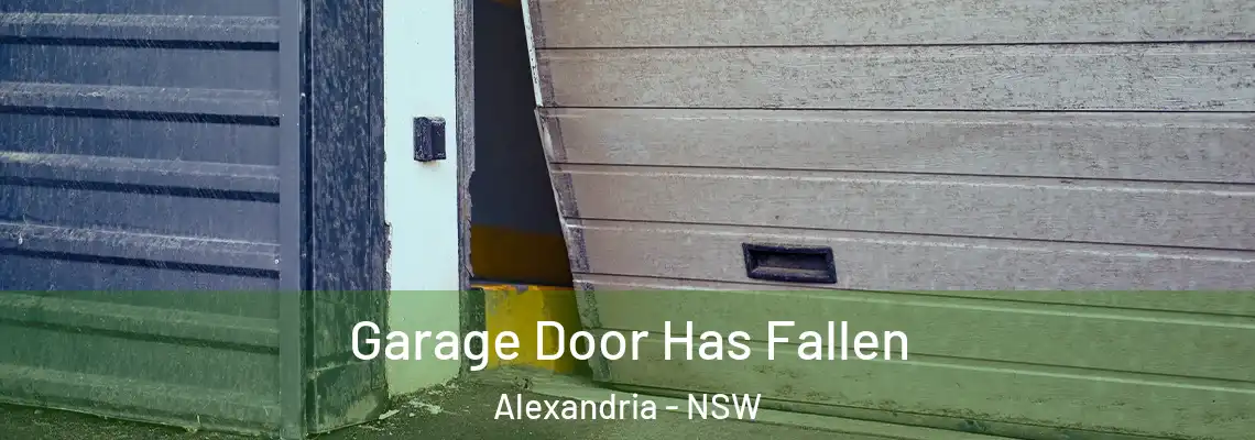 Garage Door Has Fallen Alexandria - NSW