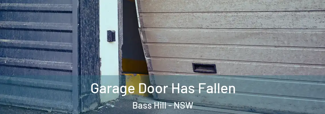 Garage Door Has Fallen Bass Hill - NSW