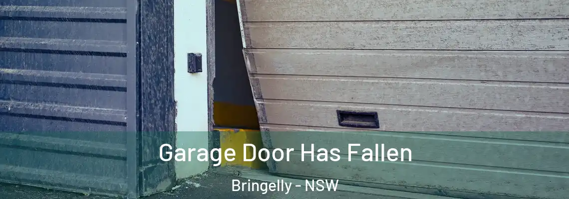  Garage Door Has Fallen Bringelly - NSW