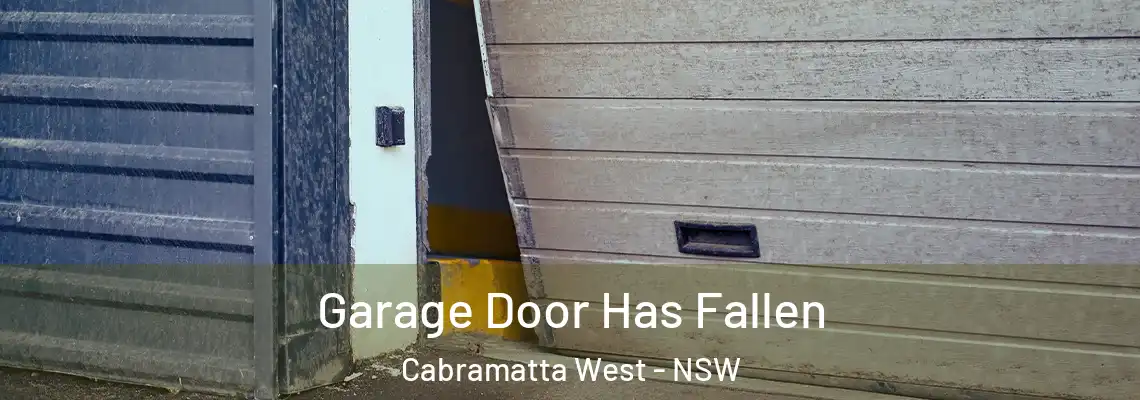 Garage Door Has Fallen Cabramatta West - NSW