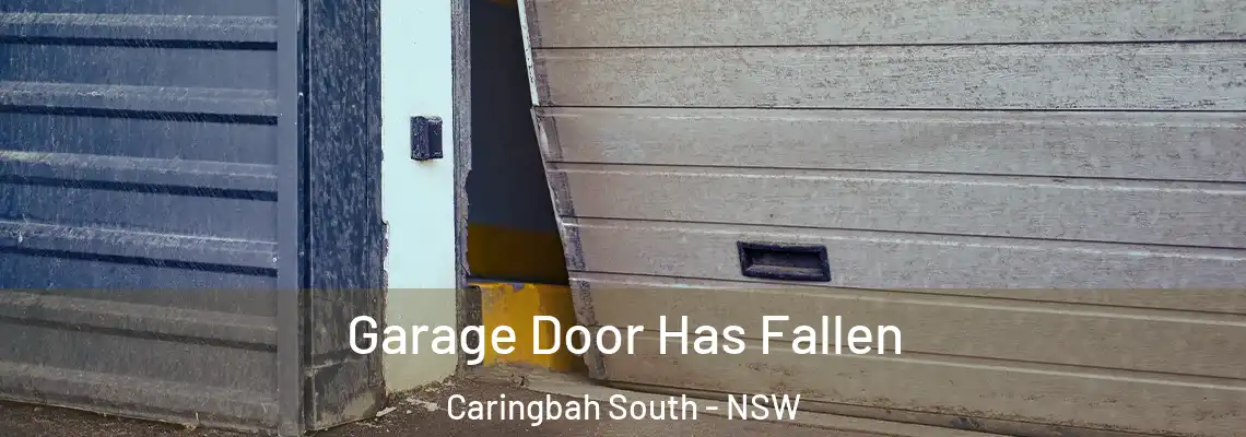 Garage Door Has Fallen Caringbah South - NSW