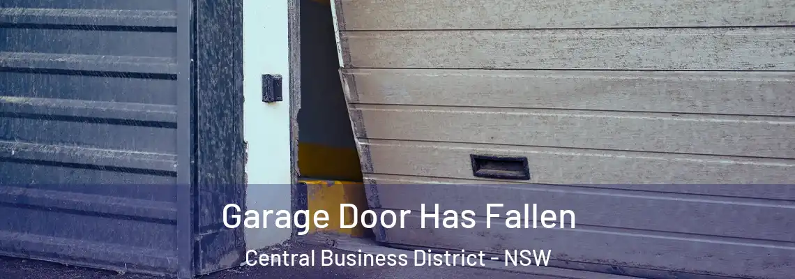  Garage Door Has Fallen Central Business District - NSW