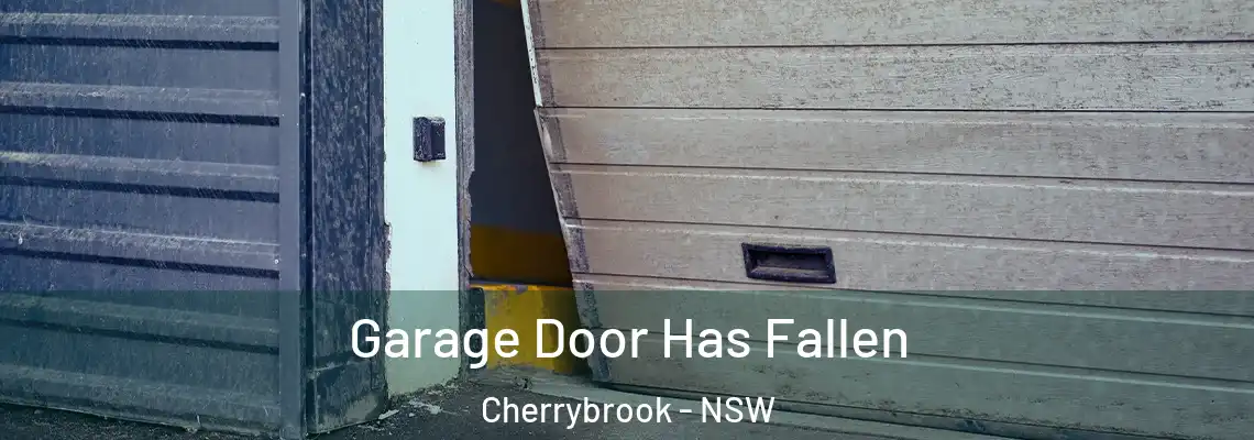 Garage Door Has Fallen Cherrybrook - NSW