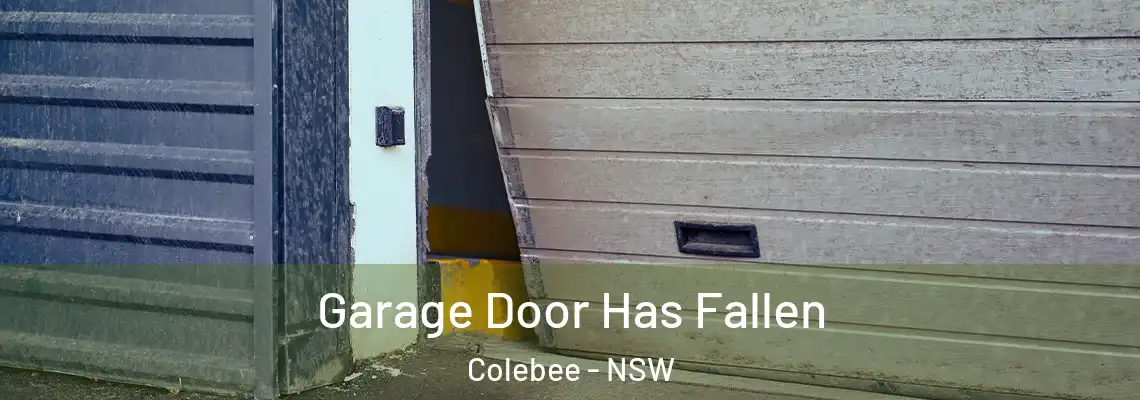 Garage Door Has Fallen Colebee - NSW