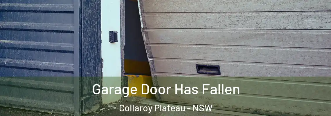 Garage Door Has Fallen Collaroy Plateau - NSW