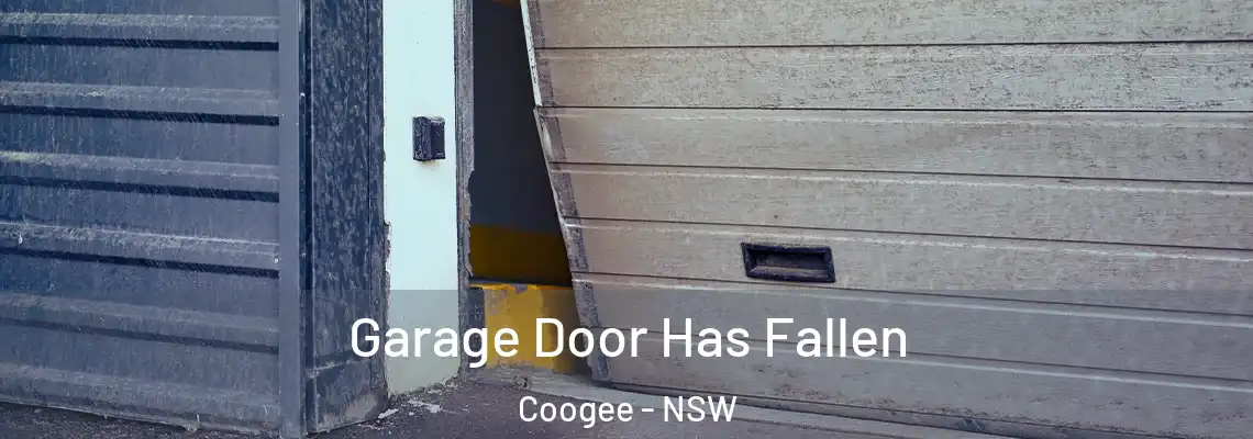 Garage Door Has Fallen Coogee - NSW