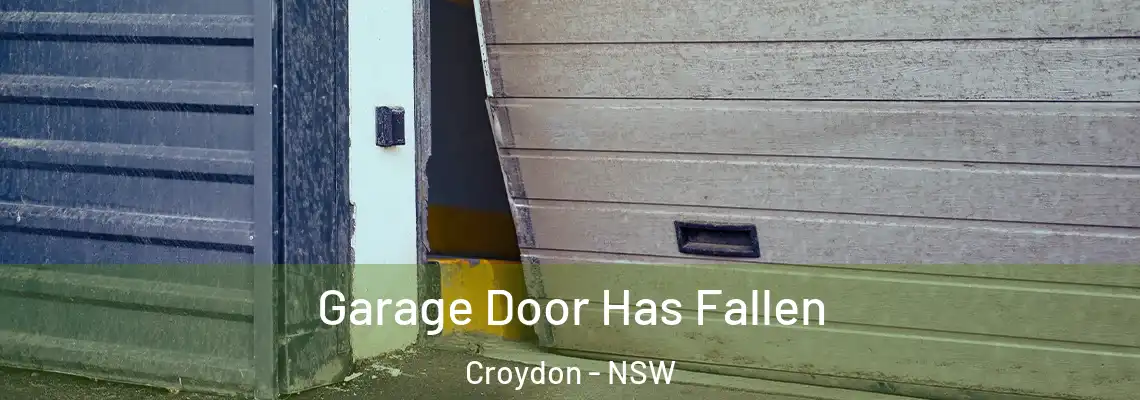 Garage Door Has Fallen Croydon - NSW