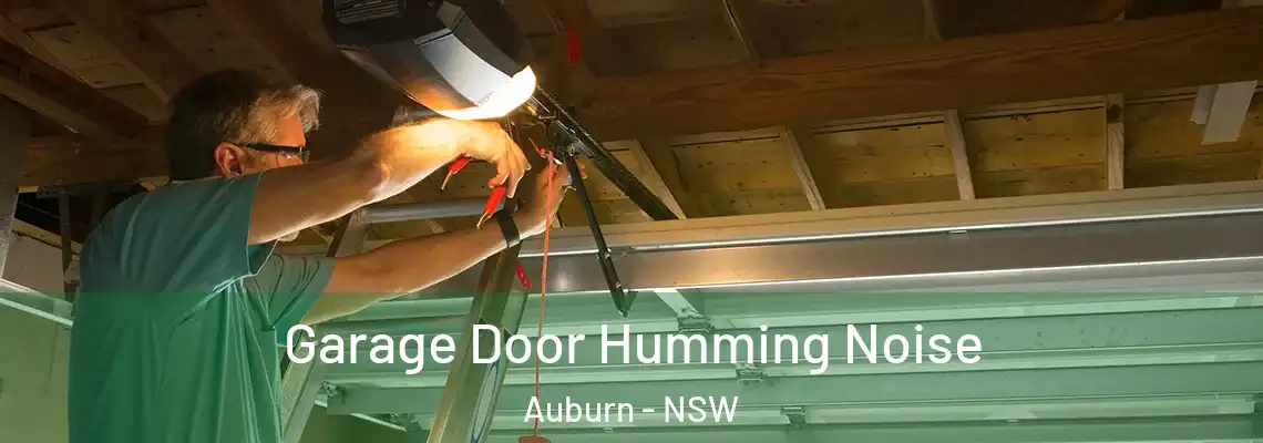 Garage Door Humming Noise Auburn - NSW