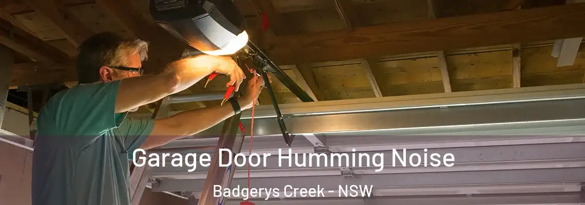  Garage Door Humming Noise Badgerys Creek - NSW