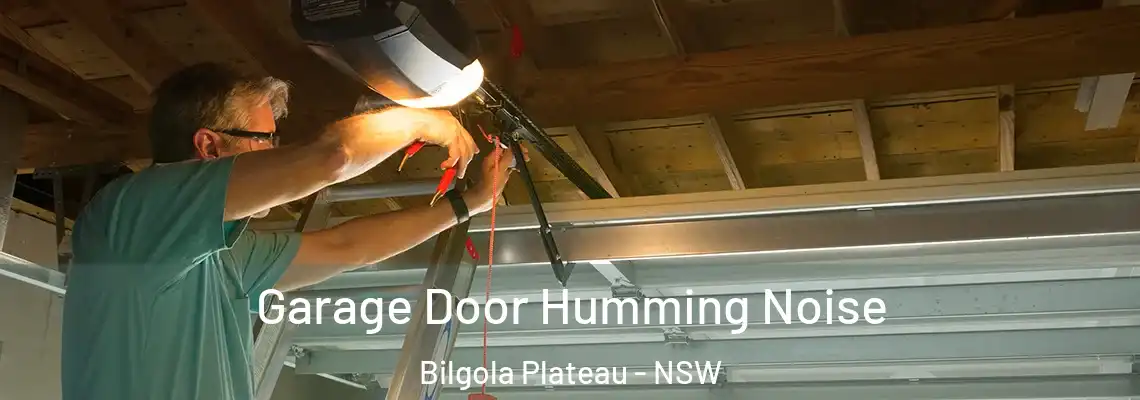 Garage Door Humming Noise Bilgola Plateau - NSW