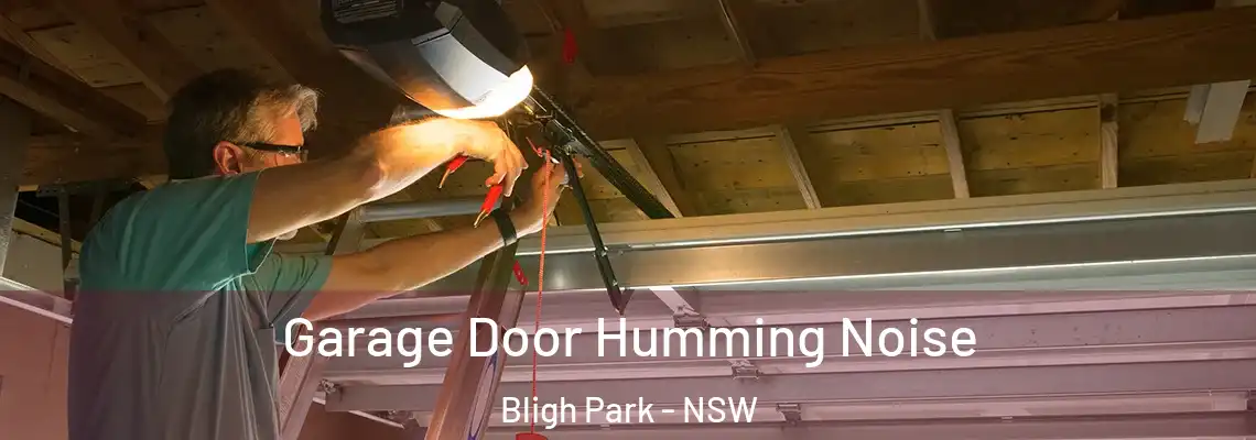 Garage Door Humming Noise Bligh Park - NSW