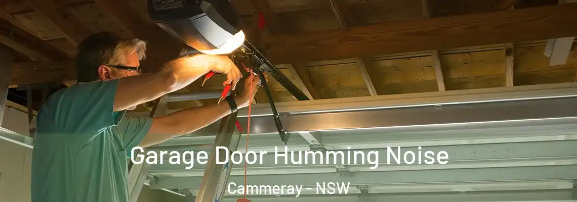 Garage Door Humming Noise Cammeray - NSW